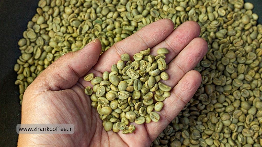 خرید قهوه سبز | قهوه سبز برای سلامتی